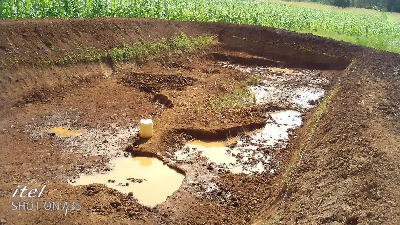 Zesa pond lid predator control