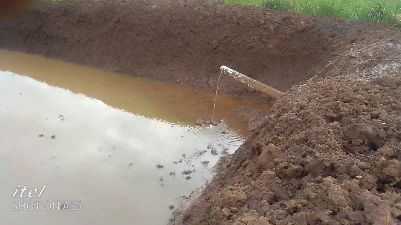 Zesa pond lid predator control