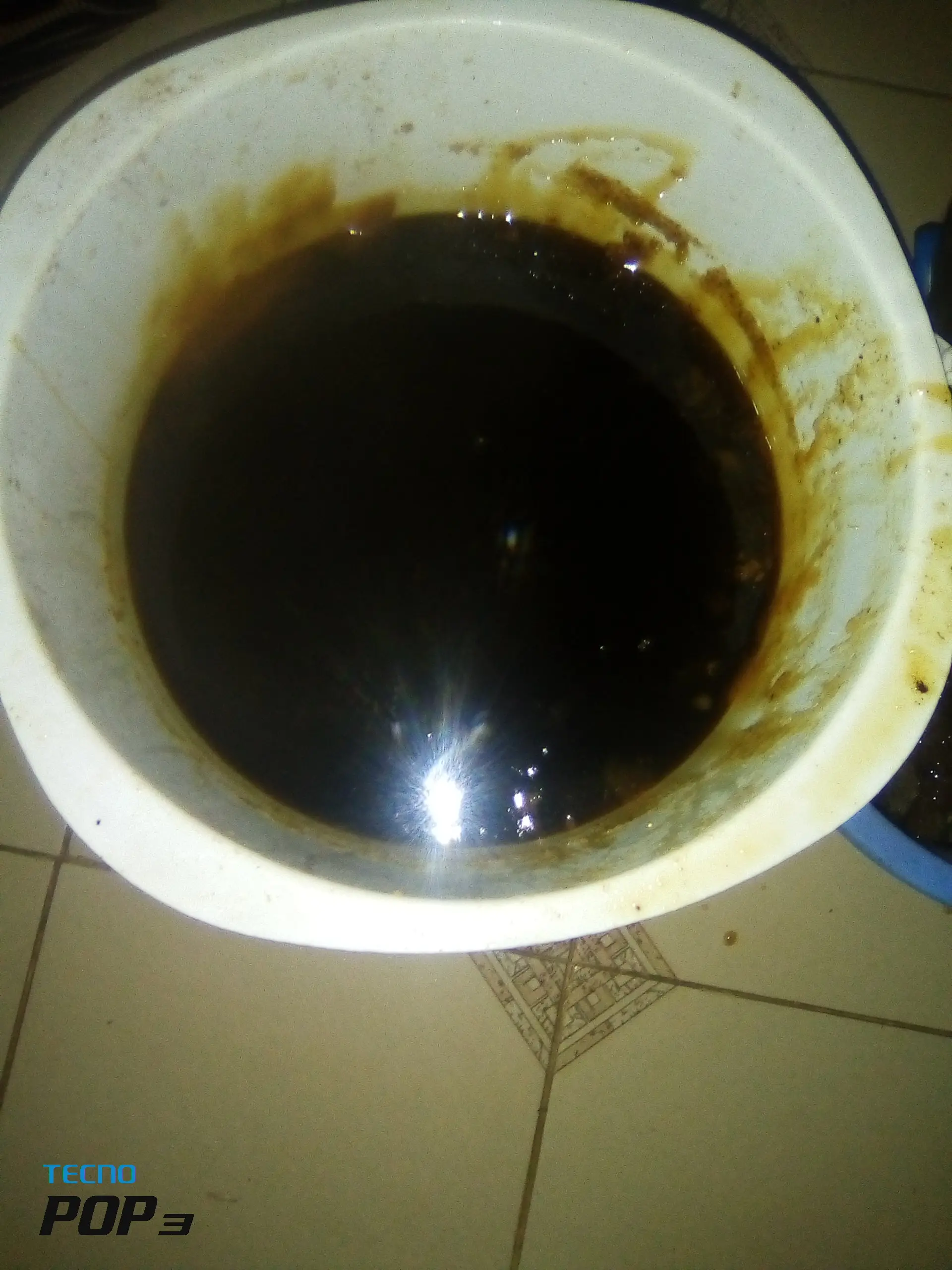 Zarf duck geese poultry