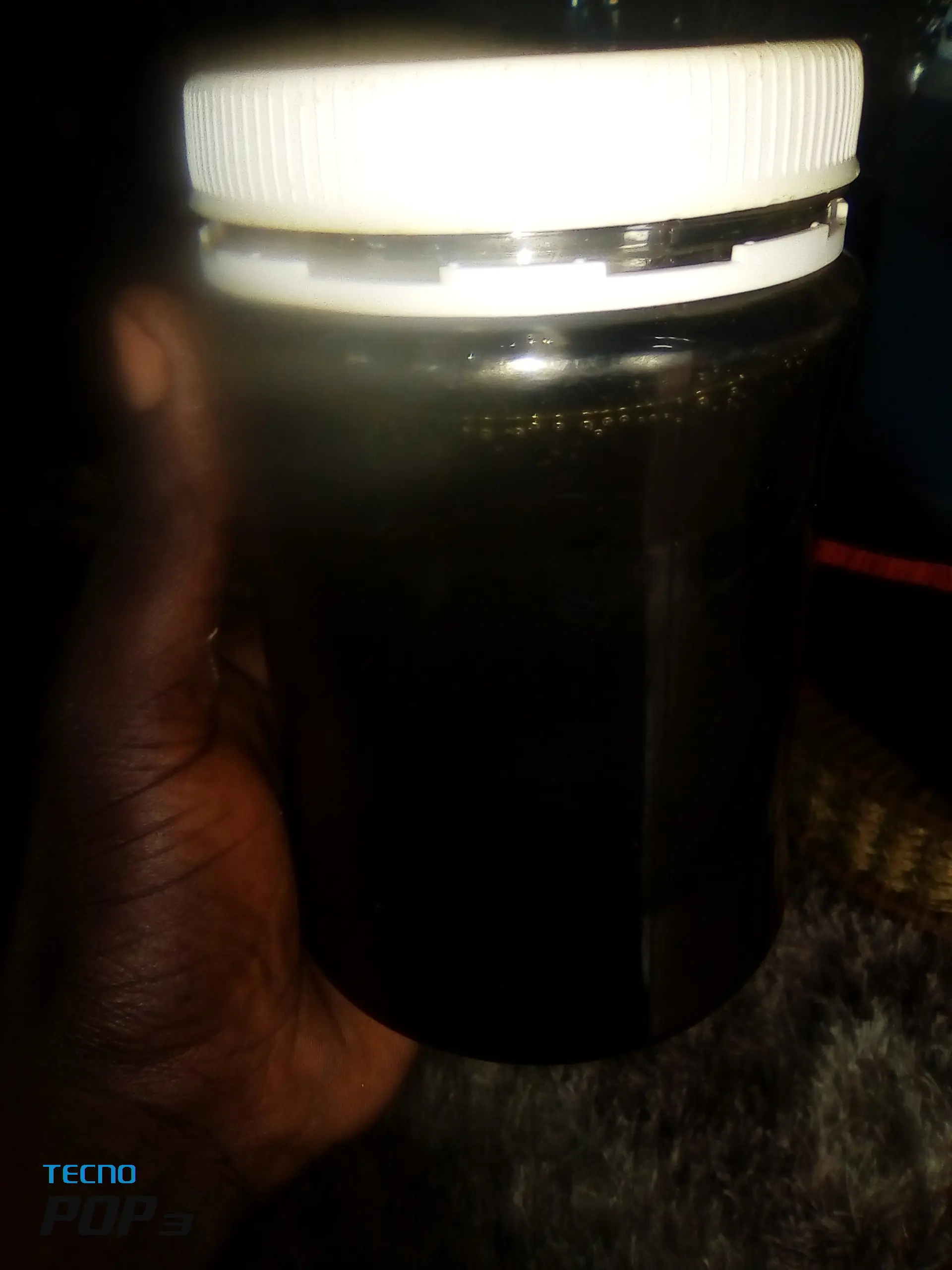 Zarf duck geese poultry