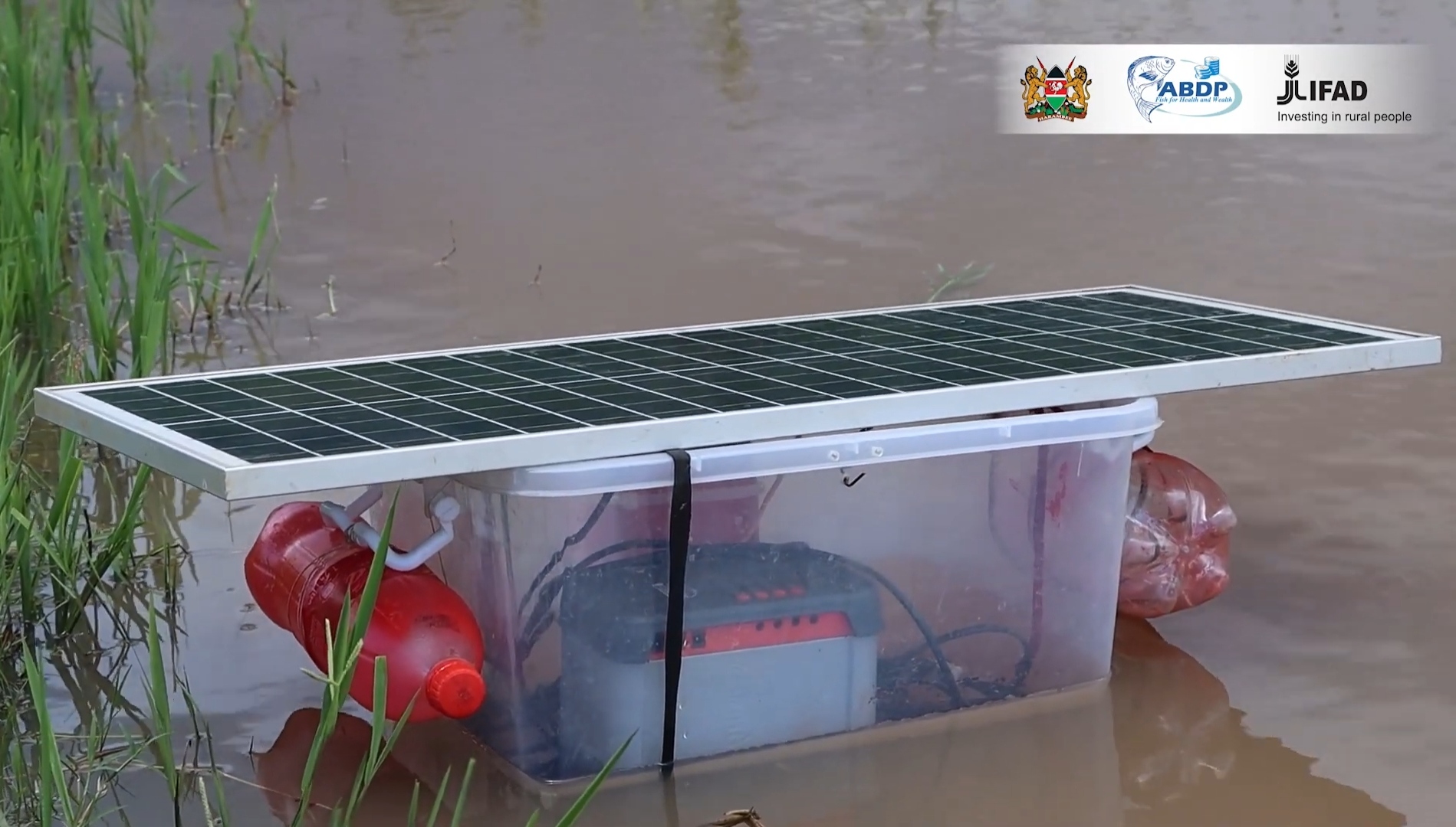 Solar Powered Aerator