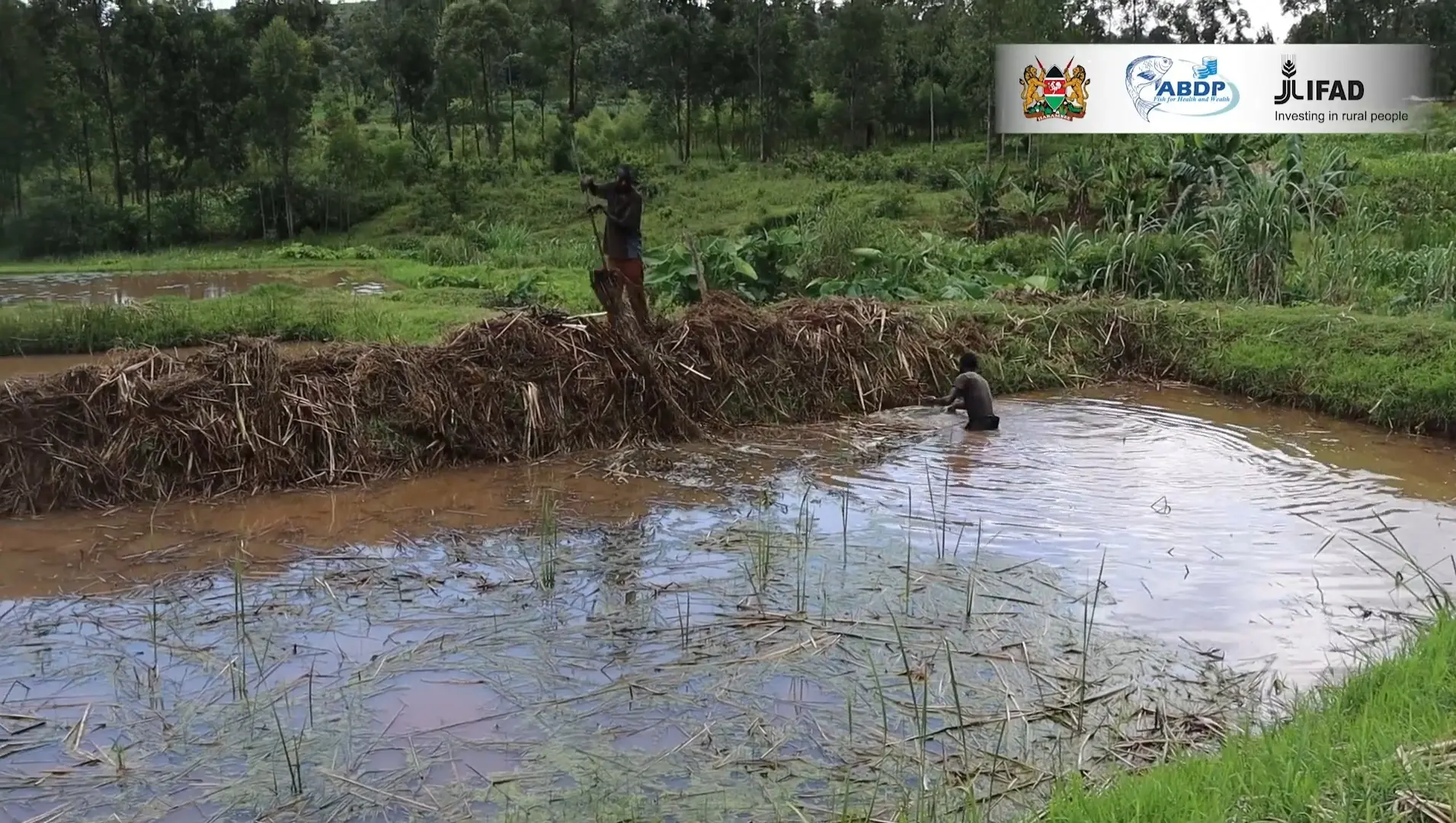 Zesa pond lid predator control
