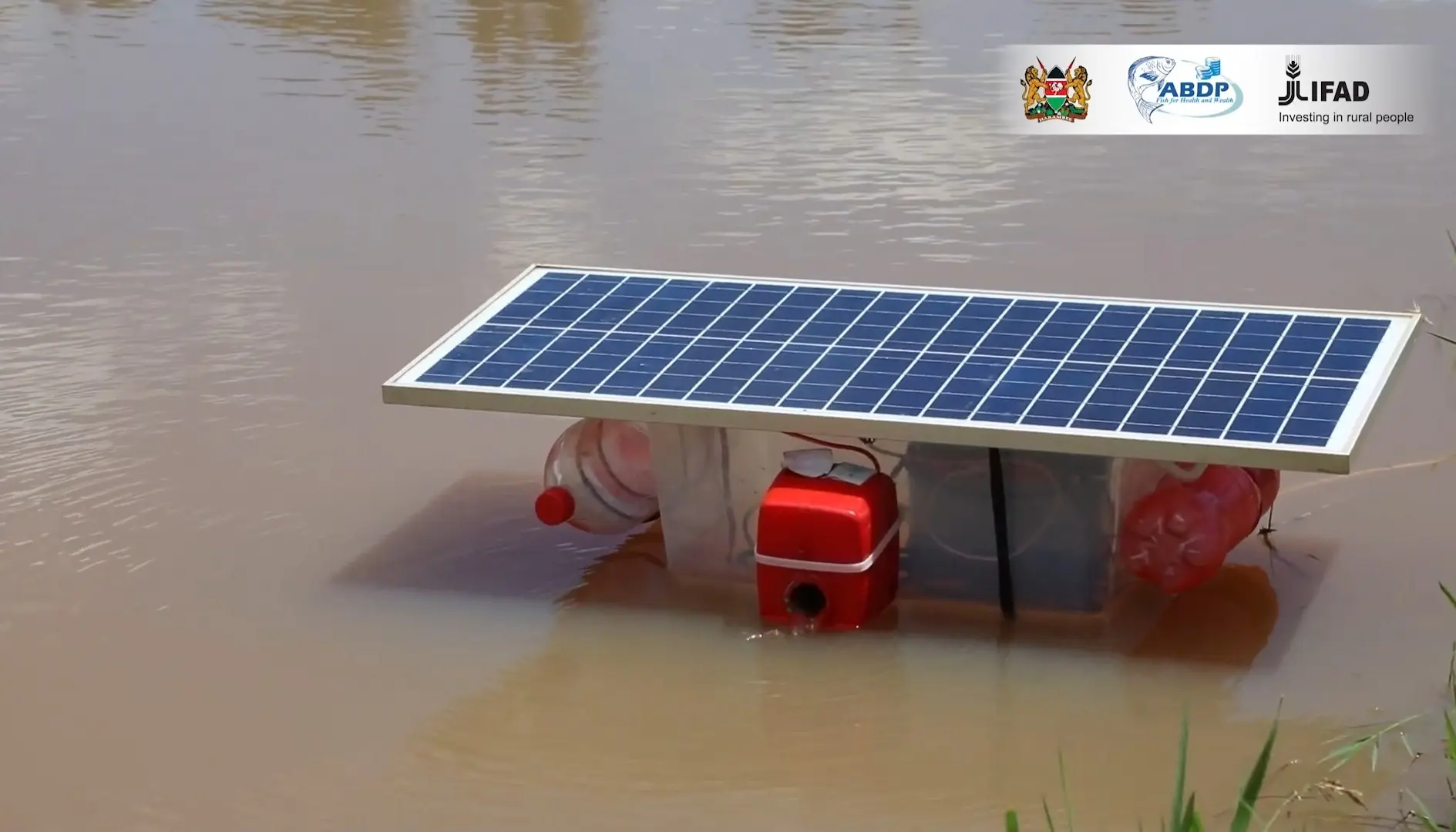 Zesa pond lid predator control