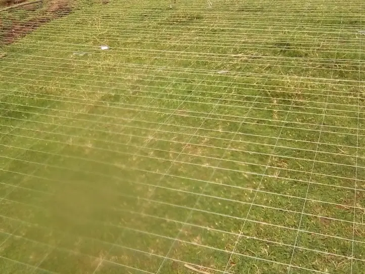 Zesa pond lid predator control